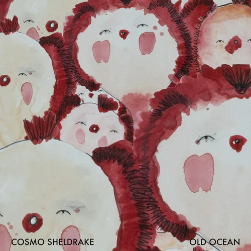 I Did And I Don\’t And I Do-Cosmo Sheldrake