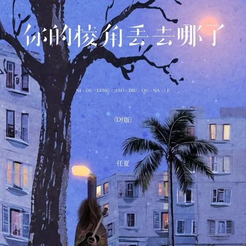 你的棱角丟去哪了 (DJ版)-任夏