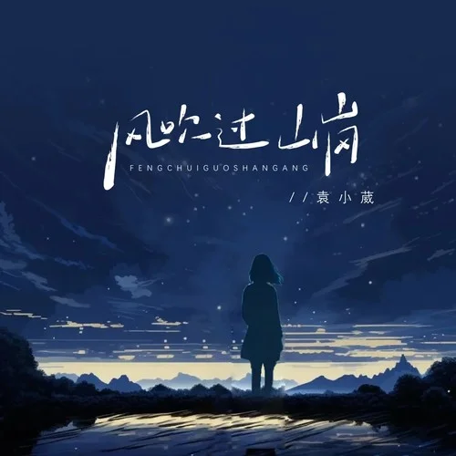 風(fēng)吹過山崗(DJ九零版)-袁小葳