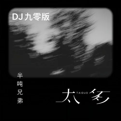 太多 (DJ九零版)-半噸兄弟