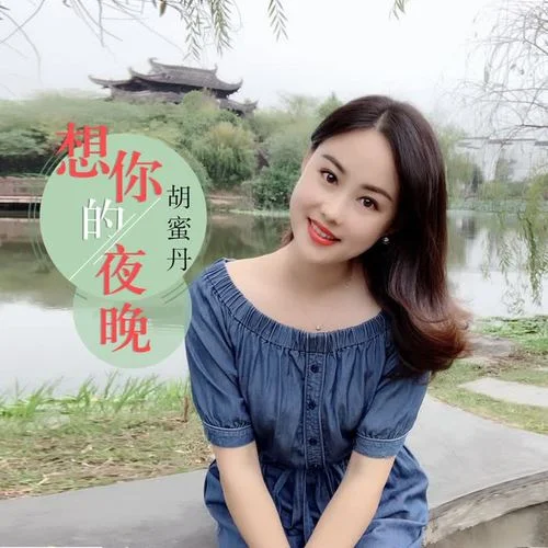 想你的夜晚（DJ何鵬版）-胡蜜丹