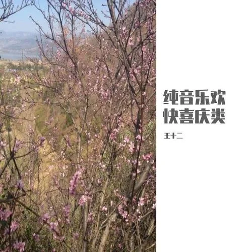 歡喜春節(jié)過新年-王一井