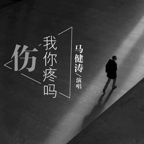 傷我你疼嗎(DJ版)-馬健濤
