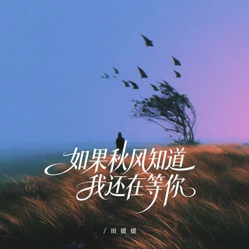 如果秋風(fēng)知道我還在等你-田媛媛