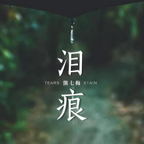 淚痕-熊七梅