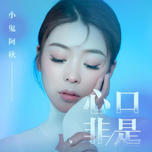 口是心非(DJheap九天版)-小鬼阿秋