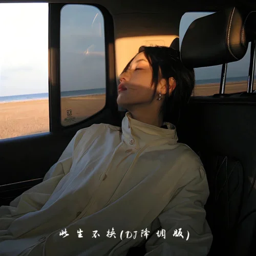 此生不換 (DJ降調(diào)版)-DJ.SmartD