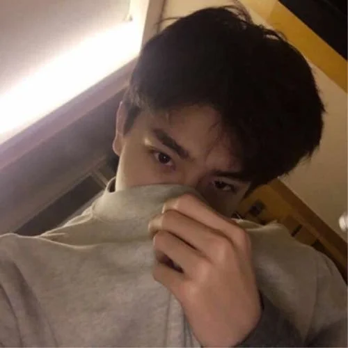 歸期無(wú)期-大壯