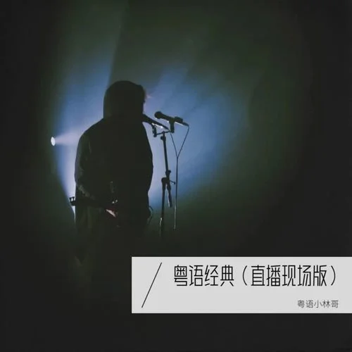 暗里著迷 (cover: 吉他的天空)-粵語(yǔ)小林哥