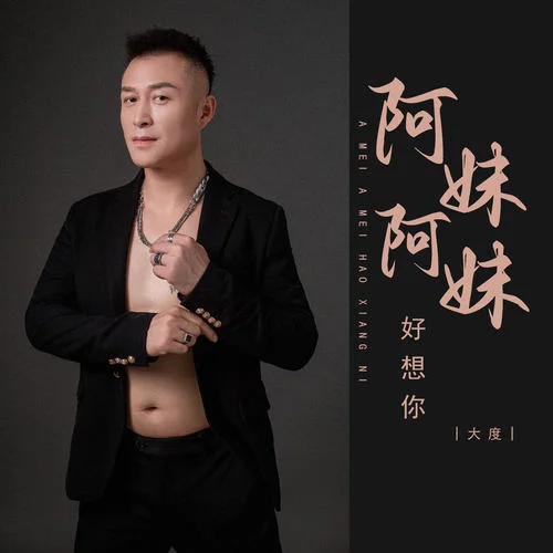 阿妹阿妹好想你 (DJ版)-大度