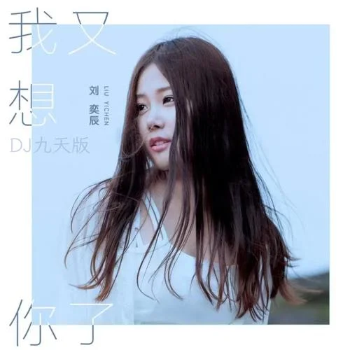 我又想你了(DJ九天版)-刘亦辰