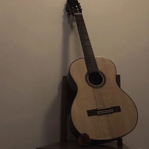 手寫的從前 (cover: 安瑾)-月梢