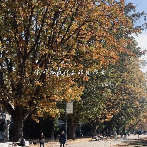 你問我為什么頑固而專一(1.25x)-小京東