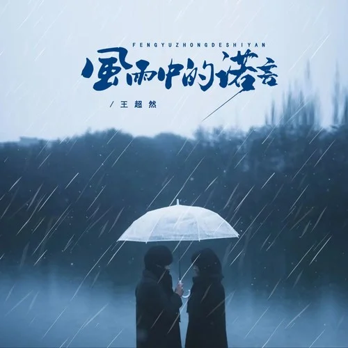 風(fēng)雨中的諾言(DJ京仔版)-王超然