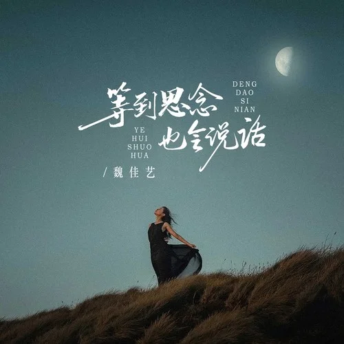 等到思念也会说话-魏佳艺