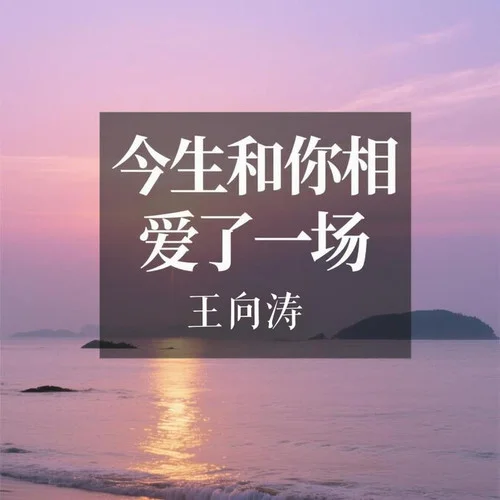 今生和你相愛了一場-王向濤
