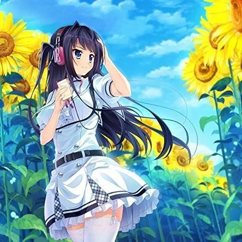 夏の色が消えるとき-茶太