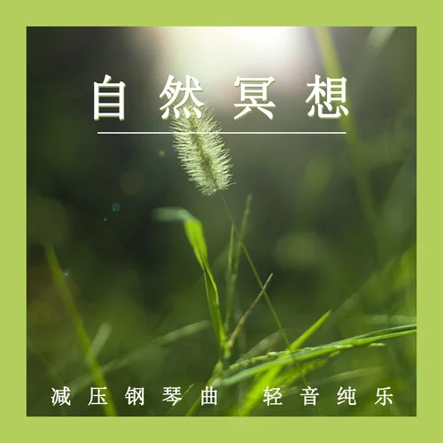 自然冥想減壓鋼琴曲 輕音純樂 (鋼片琴)-放松音樂療愈樂團