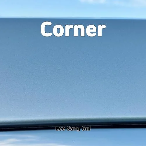 Look What You Made Me Do Taylor Swift-Lee Sang Gul