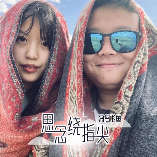 思念绕指尖-海鸟飞鱼