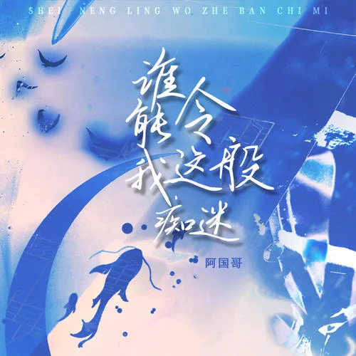 谁能令我这般痴迷-阿国哥