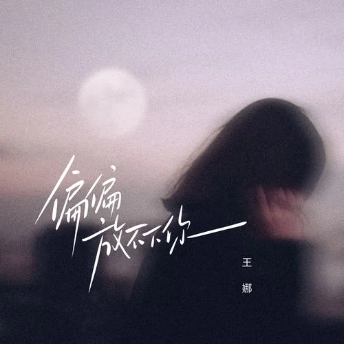 偏偏放不下你-王娜