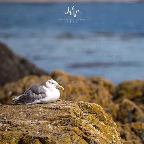 一個(gè)人的午后 (鋼琴+海浪聲)-睡前音樂(lè)盒