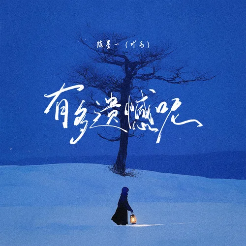 有多遺憾呢-陳墨一（吖毛）