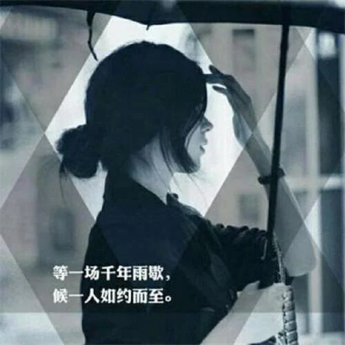 煙花易冷-林志炫-紫荊