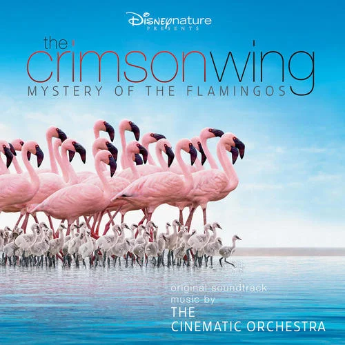 Transformation(From ”The Crimson Wing: Mystery of the Flamingos” / Score)-The Cinematic Orchestra&The London Metropolitan Orchestra