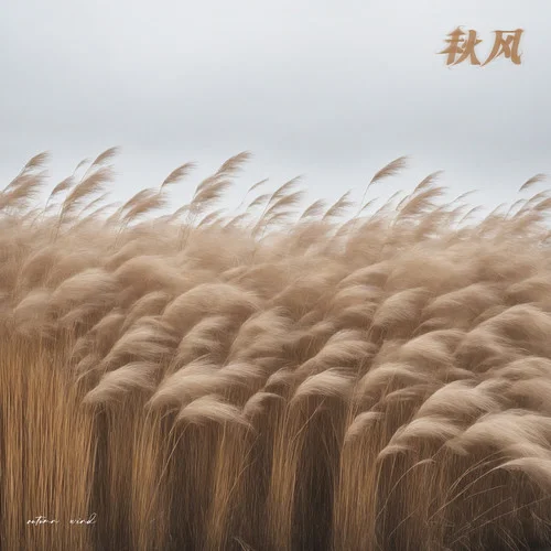 秋風(fēng)-楊坤