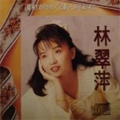 错误的停留-林翠萍