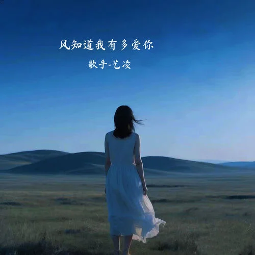 風(fēng)知道我有多愛你 (DJ浩然版)-藝凌