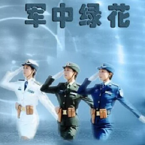 軍中綠花-黑鴨子演唱組