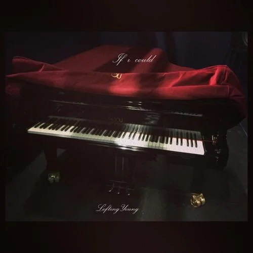 If I could-洛仃洋