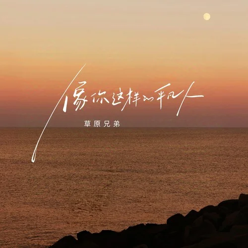 像你這樣的平凡人（你風(fēng)風(fēng)雨雨這半生）-草原兄弟