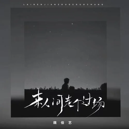 来人间走个过场 -魏佳艺