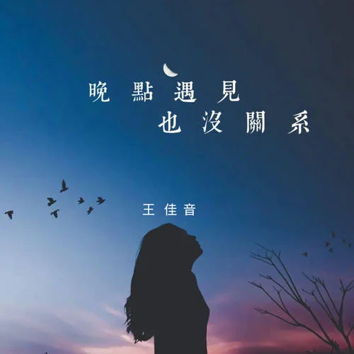晚點遇見也沒關系-王佳音