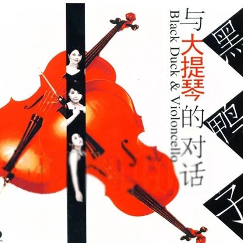 把悲伤留给自己-黑鸭子演唱组