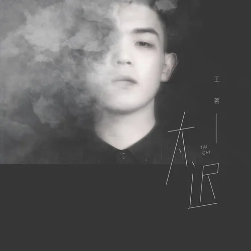 太遲(男聲版)-王茗