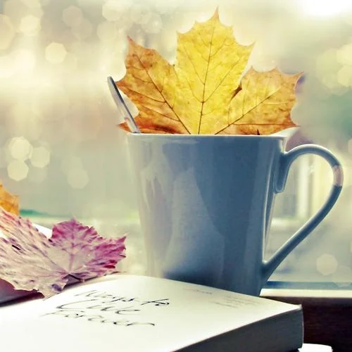 秋日私语（钢琴曲）-轻静音乐