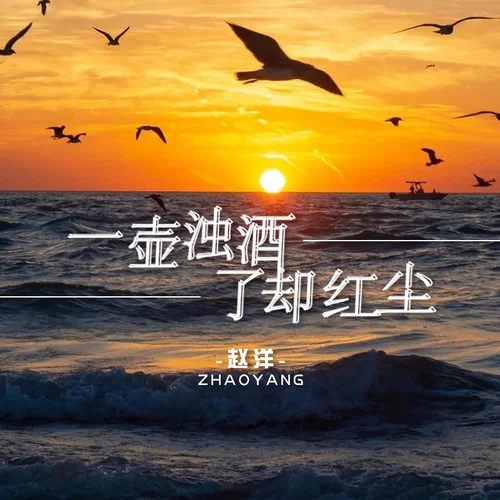 一壺濁酒了卻紅塵愁-趙洋