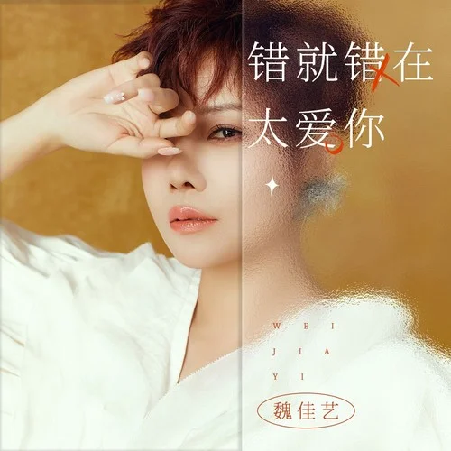 错就错在太爱你-魏佳艺