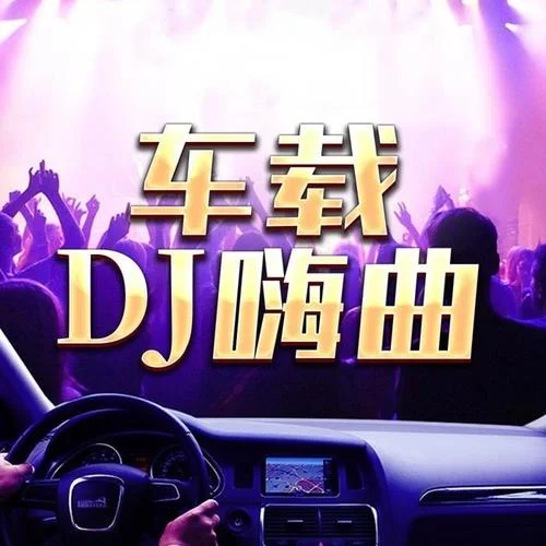 墜落（DJ阿卓版）-章拾音