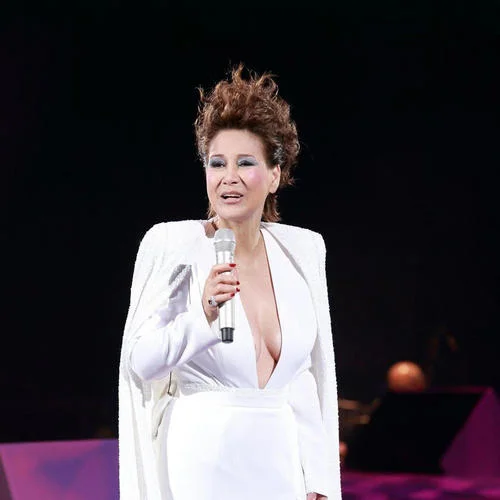 我曾用心爱着你(粤语版)-甄妮