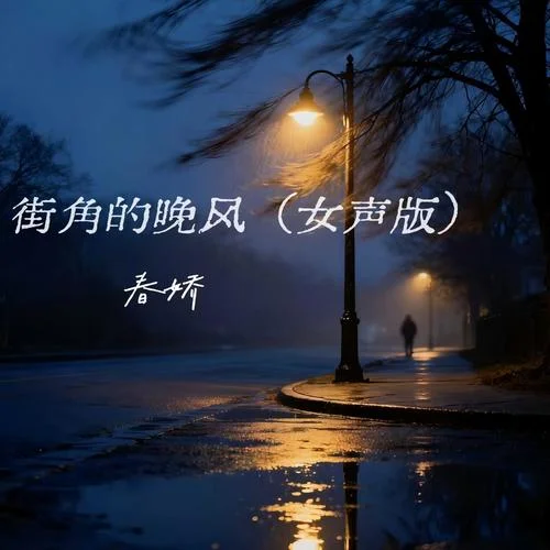 街角的晚风 (女声纯享版)-春娇