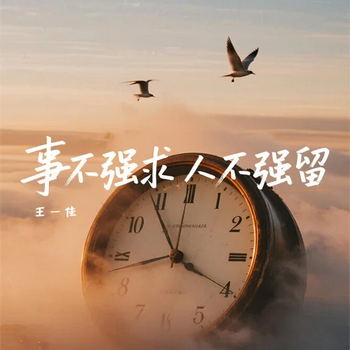 事不強求 人不強留 (DJ小桐版)-王一佳
