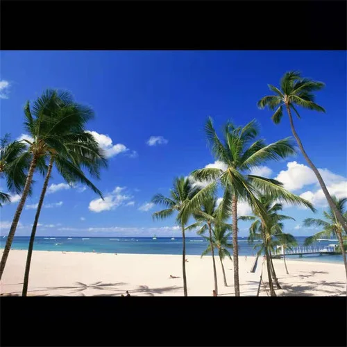 摩卡異國(guó)搖(DJ版)-郭楠楠