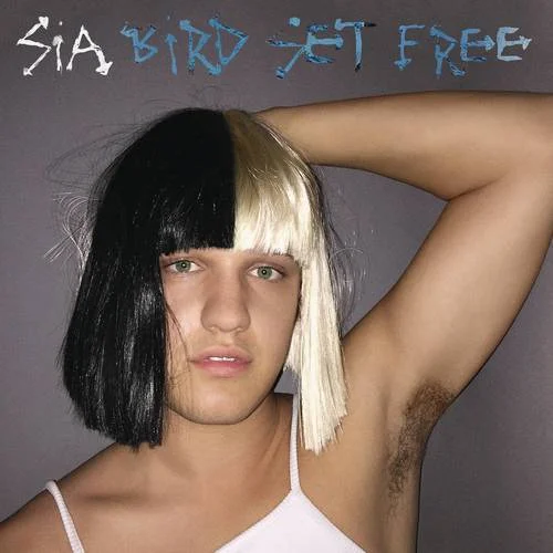 Bird Set Free-Sia