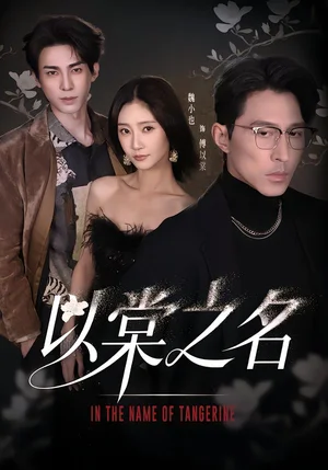 以棠之名（66集）魏小也&馮文棟 - 短劇資源下載